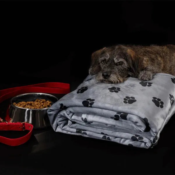 Big Blanket Original Stretch™ Blanket — 4-way stretch knit