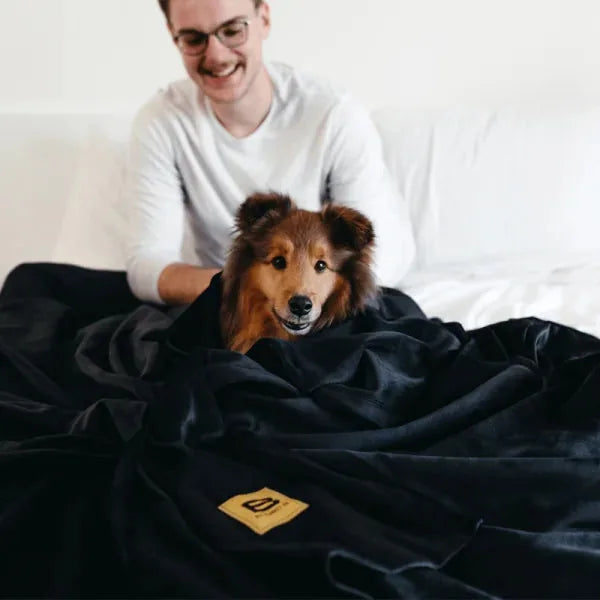 Big Blanket Original Stretch™ Blanket — 4-way stretch knit in Black