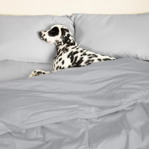 Sateen Dream™ Duvet Cover