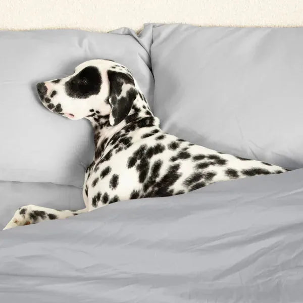 Big Blanket Sateen Dream™ Pillowcases