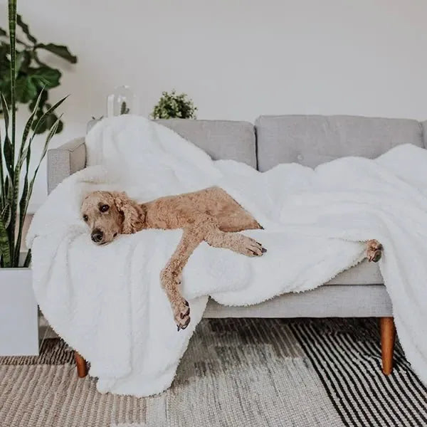 Big Blanket Premier Plush™ Blanket